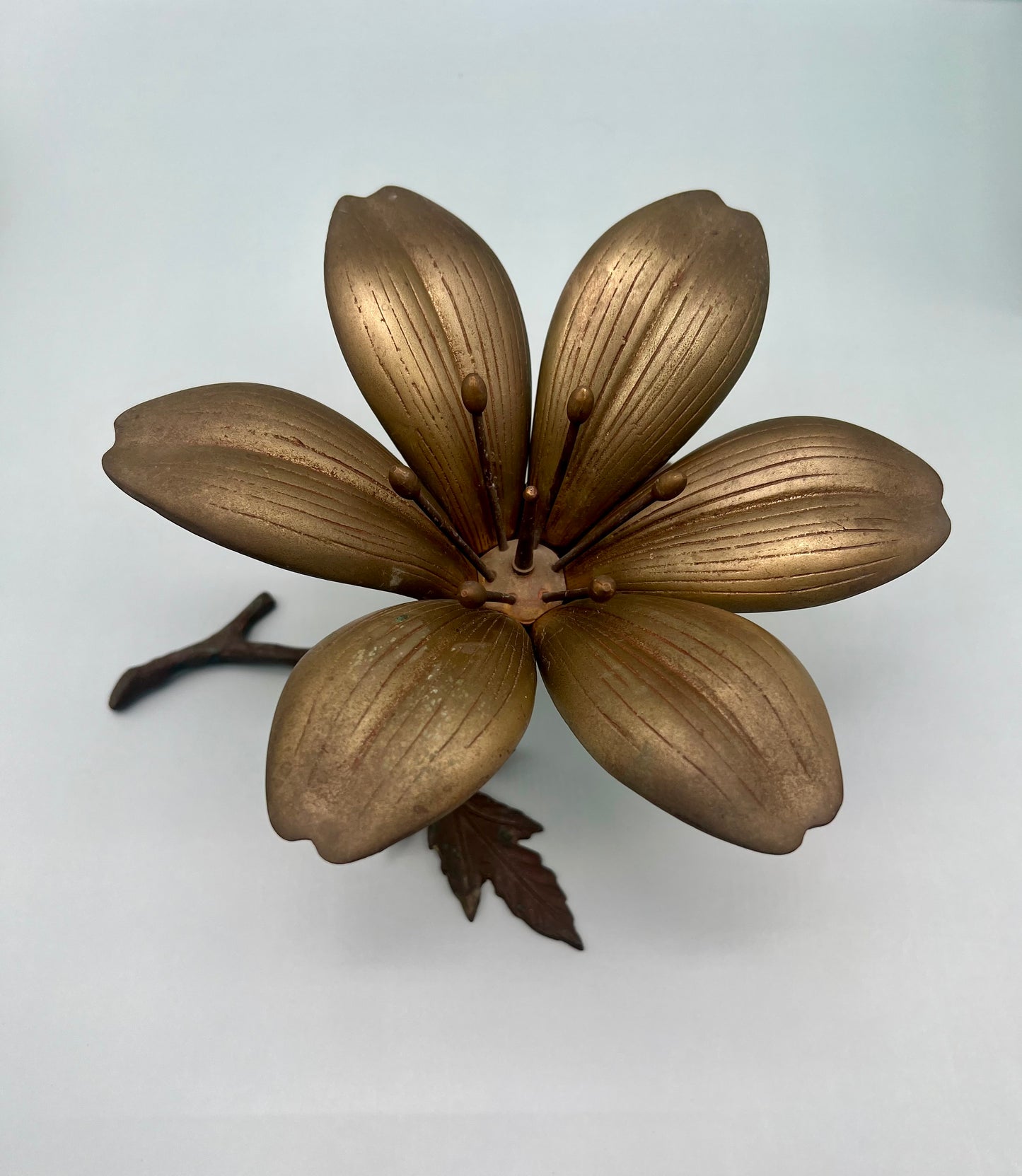 Flora