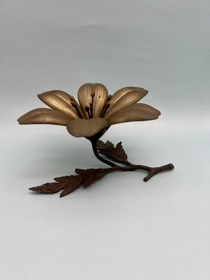Flora