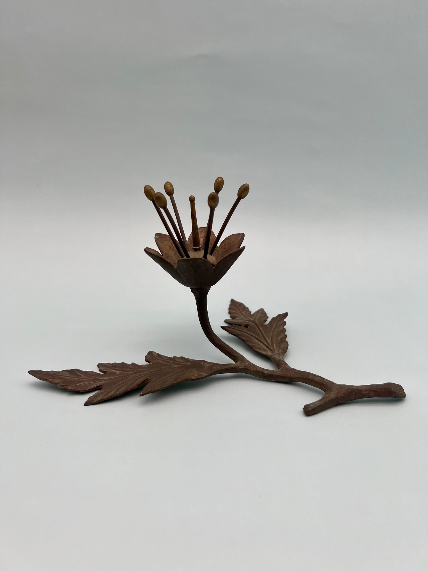 Flora