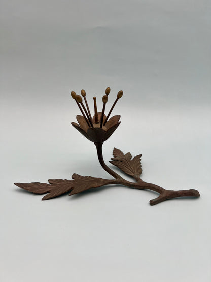 Flora
