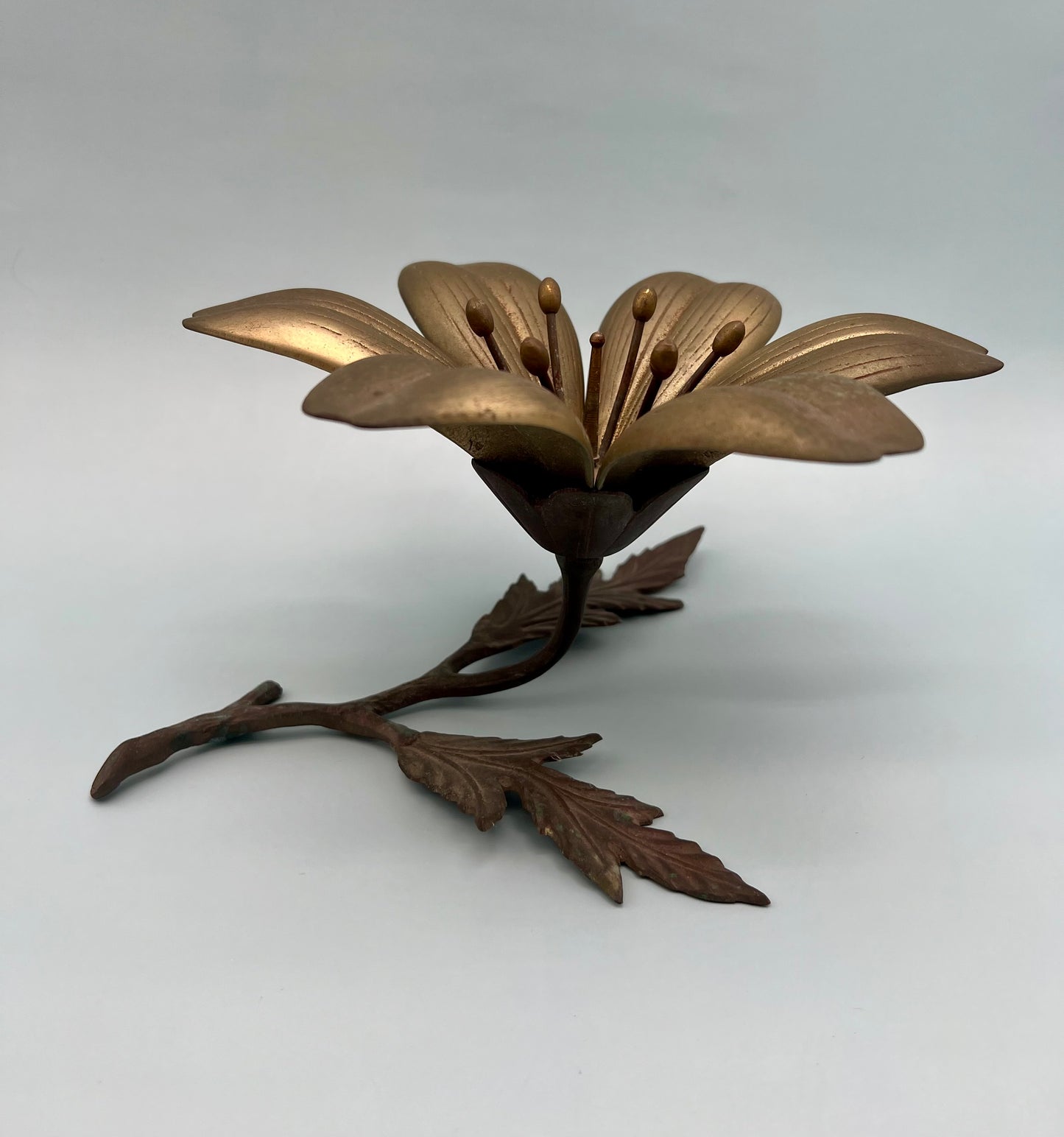 Flora